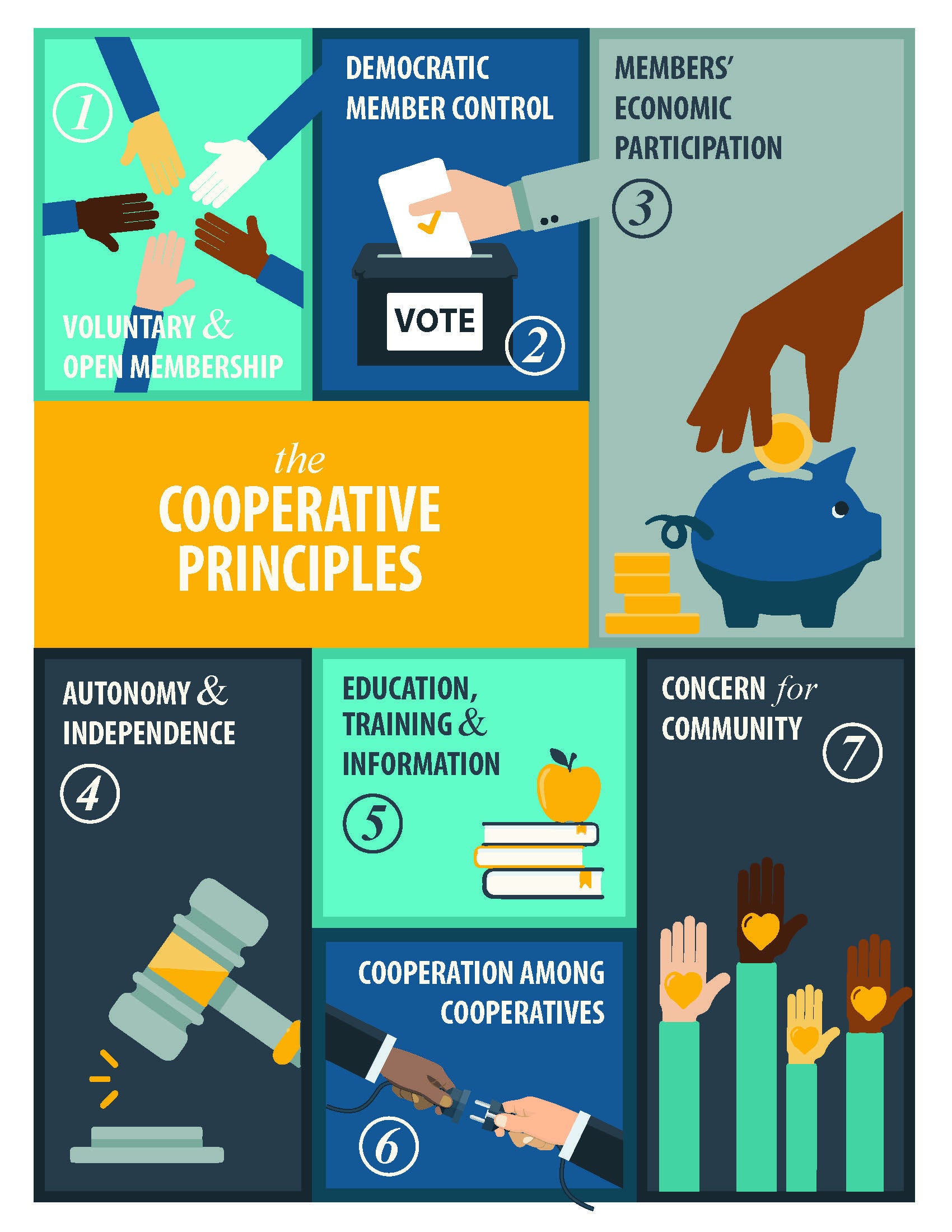 7 co-op principles